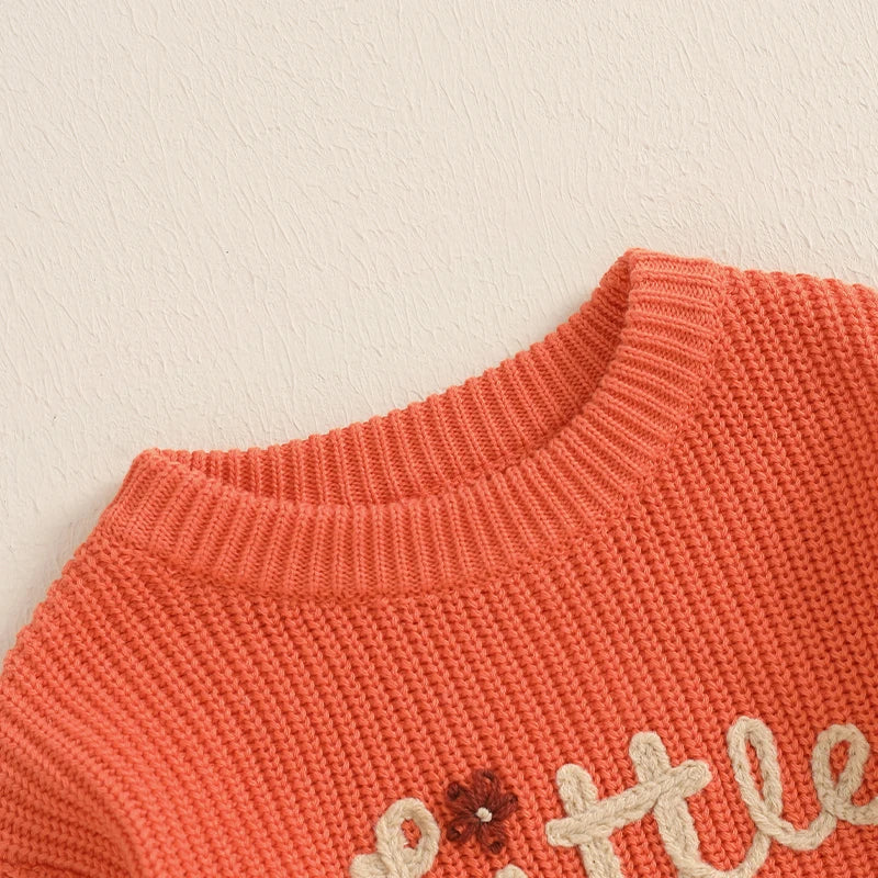 Little Sister Floral Embroidery Baby Sweater