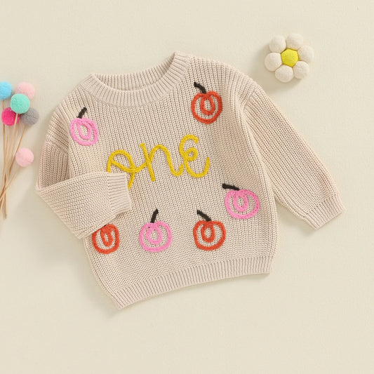 1st Birthday Embroidered Baby Girl Sweater