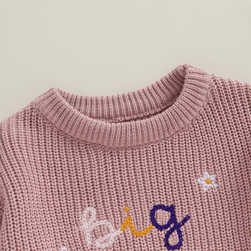 Big Brother Big Sister Embroidery Baby Sweater