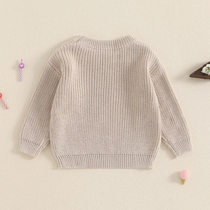 Baby 1st Birthday Embroidered Sweater