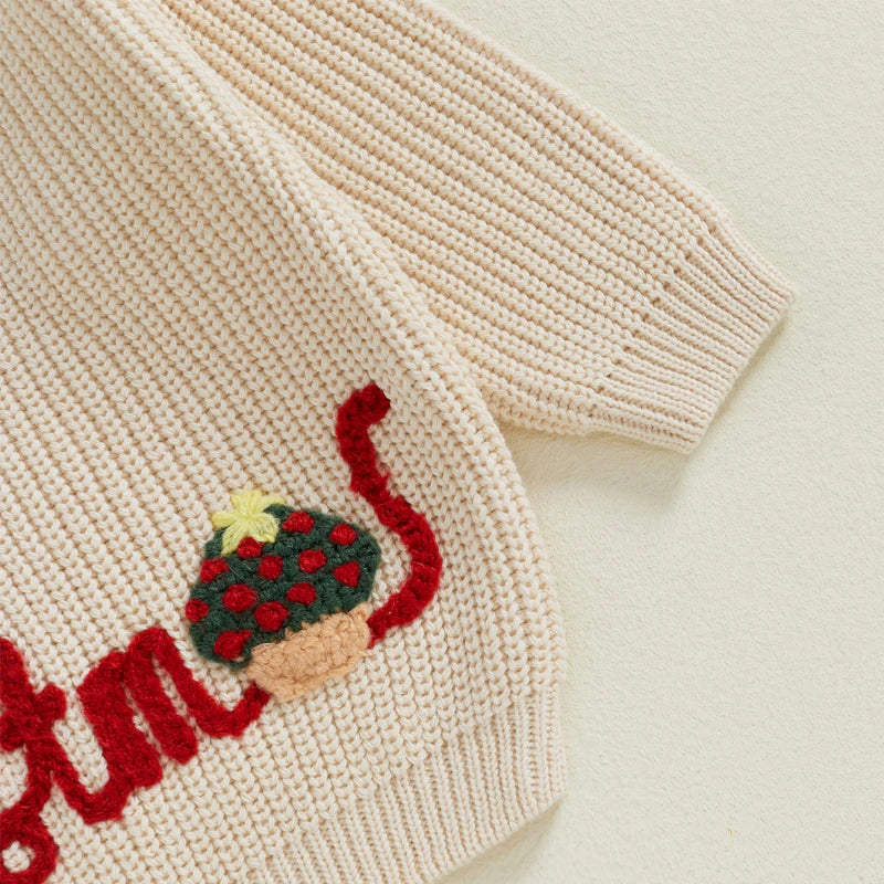 Santa Embroidery Christmas Baby Sweater