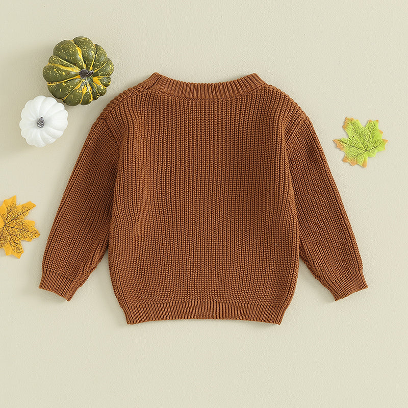 Halloween Pumpkin Embroidery Sweater