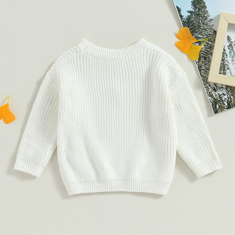 Flower Embroidery Baby Sweater